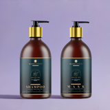 Belma kosmetik-Argán kit de argán 500 cuidado en casa-todo tipo de cabellos y post alisado