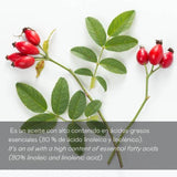 Sérum aceite rosa mosqueta 100% puro - 30 ml